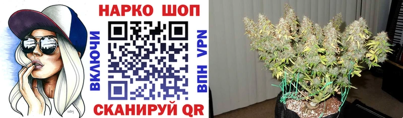 Где можно купить наркотики Усть-Илимск АМФ  НБОМе  МЕФ  Псилоцибиновые грибы 