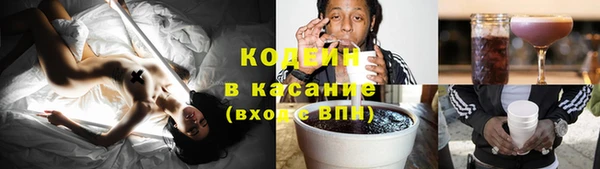 гидра Абаза