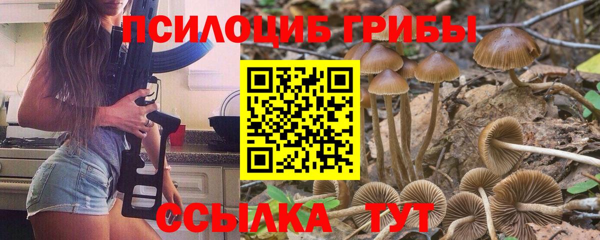 Псилоцибиновые грибы MAGIC MUSHROOMS Усть-Илимск