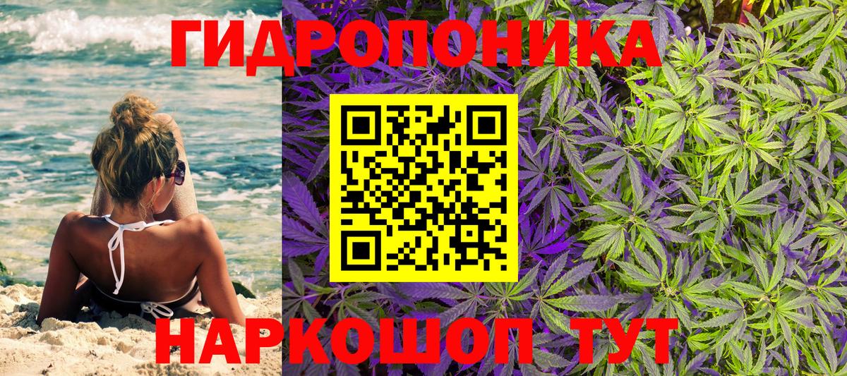 Каннабис планчик  Вход с VPN  Марихуана тримм  Усть-Илимск  Бошки Шишки MAZAR  МАРИХУАНА сатива 